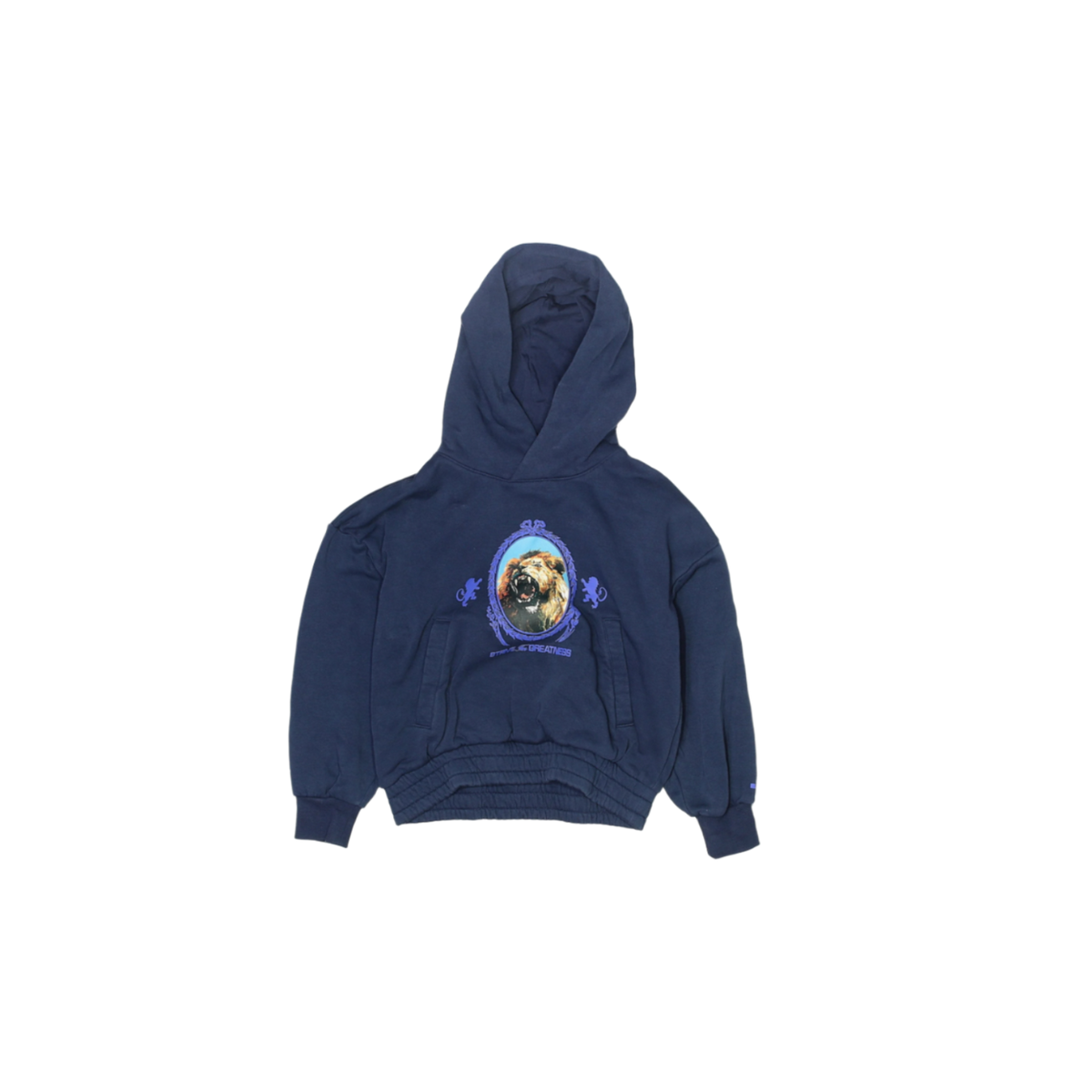 Nike Vintage Graphic Hoodie – Size 2–3Y