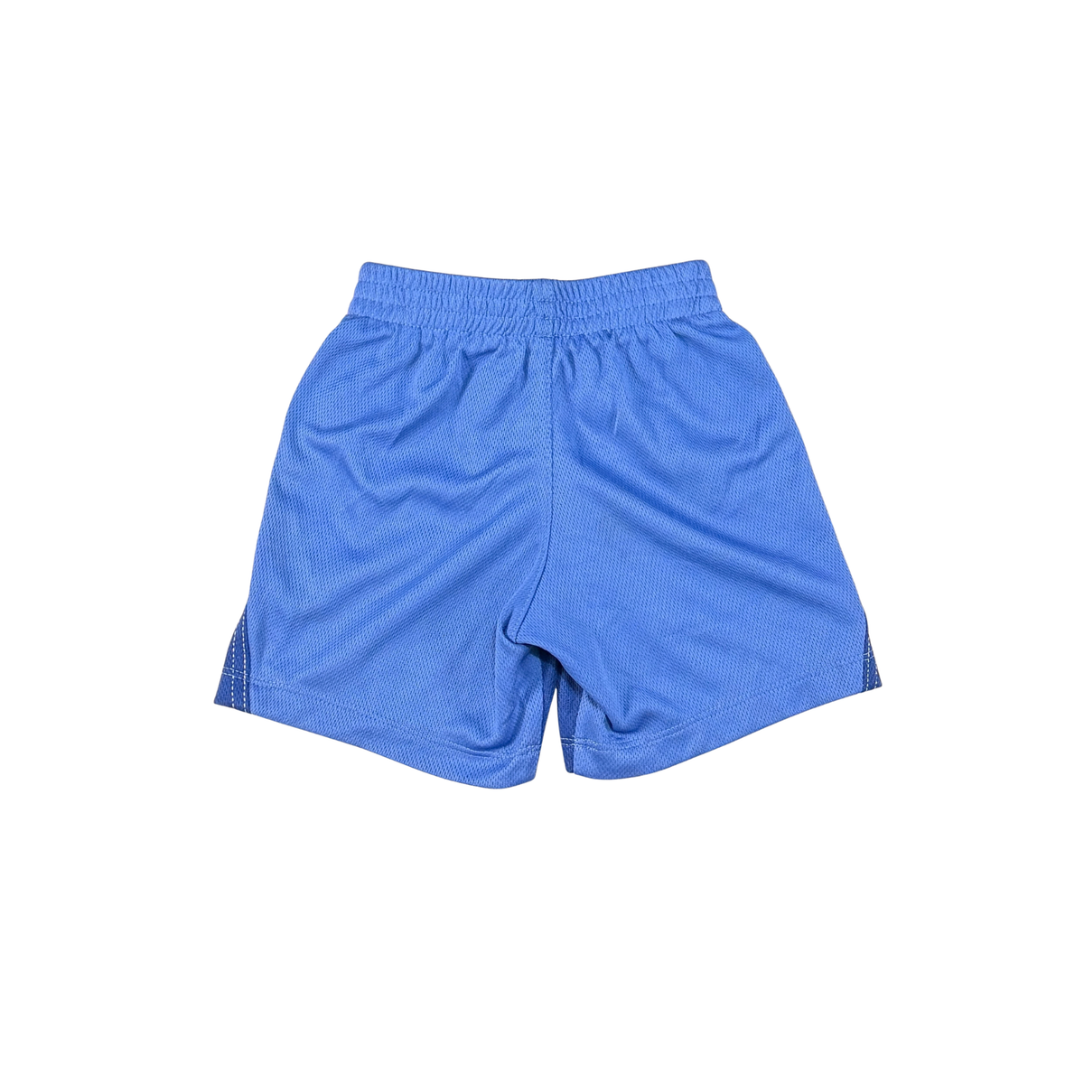 Vintage Nike Blue Swoosh Shorts – 24M