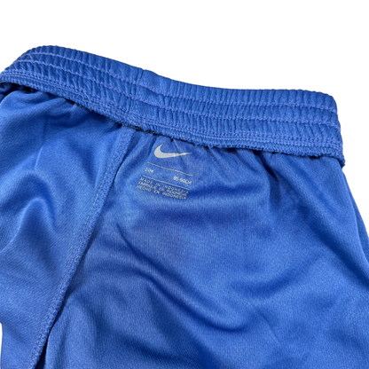 Vintage Nike Blue Swoosh Shorts – 24M