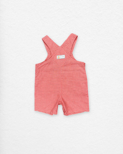 Vintage Peter Rabbit Gingham Overalls – 0–3M